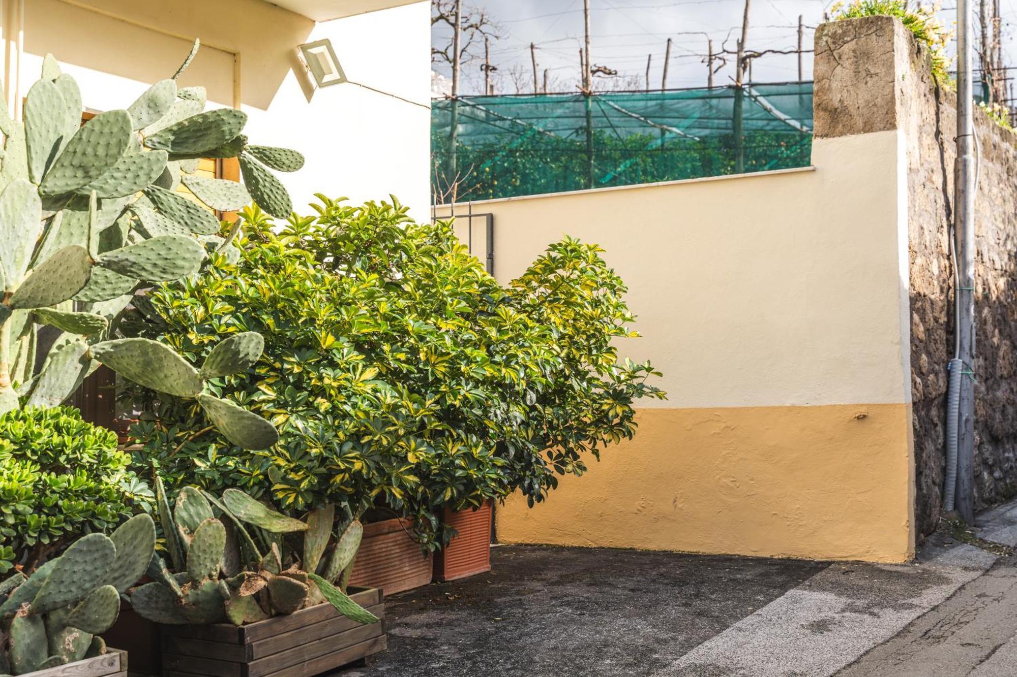 Sorrento Central Flat Buitenkant foto